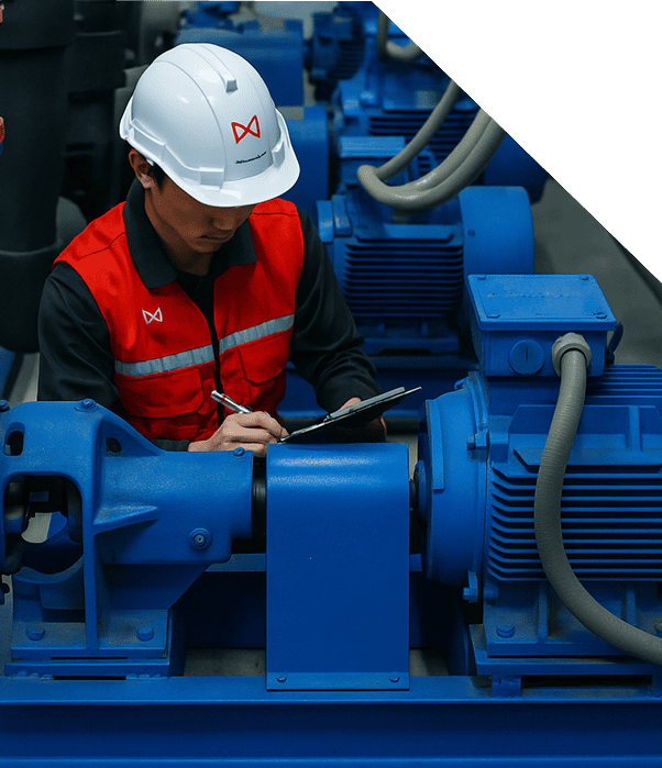 img polizas servicio 02 img polizas servicio 02